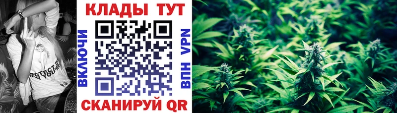 Наркошоп купить Псилоцибиновые грибы  Alpha PVP  ГАШИШ  Мефедрон  Кокаин  Онега